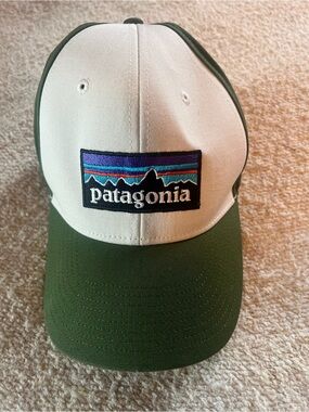 Patagonia Logo Cap